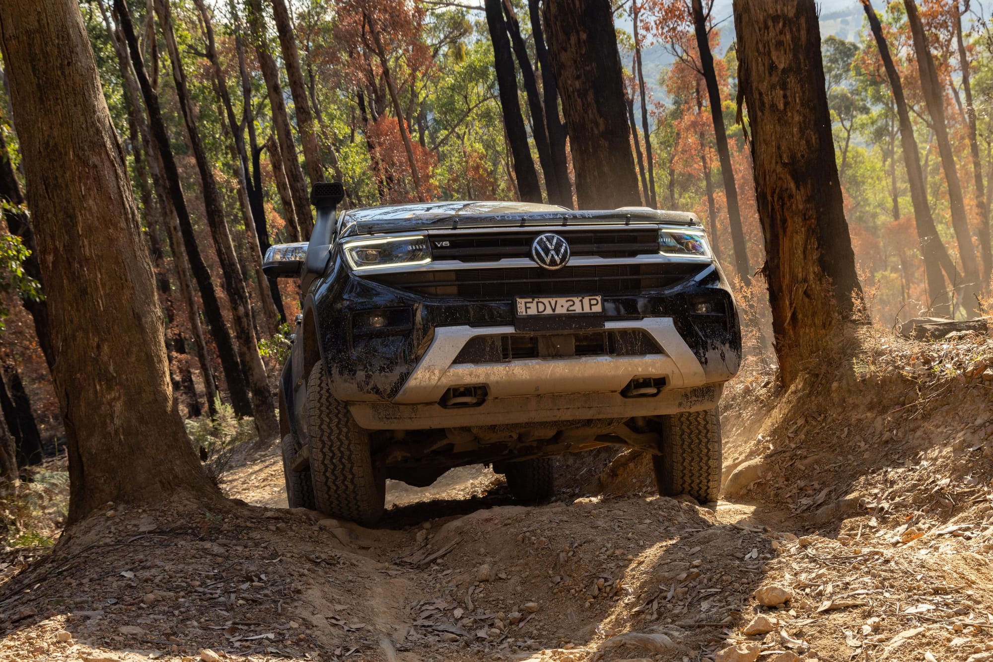 2023-2024 VW Amarok Ute Recalled in Australia Due to Seatbelt Concern