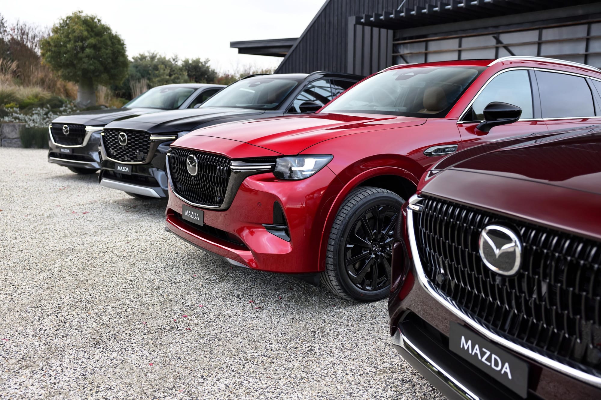 Mazda Dealer's Festive Promotion Offers Discounts and Prize Wheel Spin