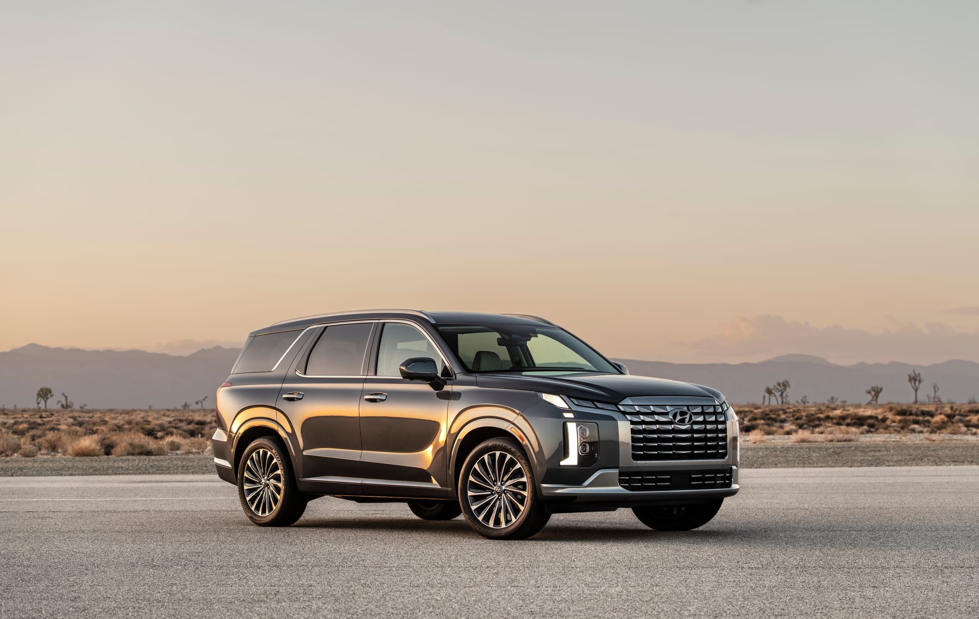 2025 Hyundai Palisade Review: Price, Specs and Rating