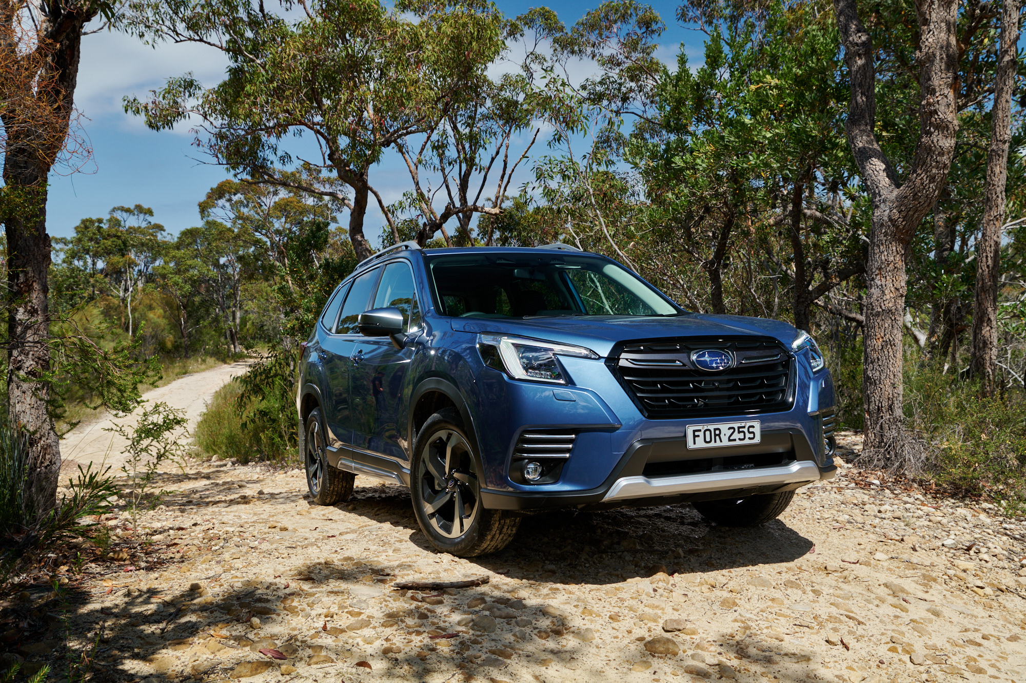 2025 Subaru Forester Review: Price, Specs and Rating