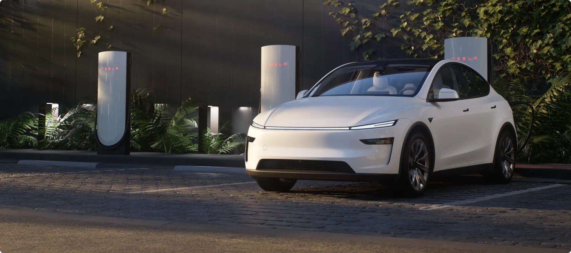 2025 Tesla Model Y RWD Price & Specs Australia