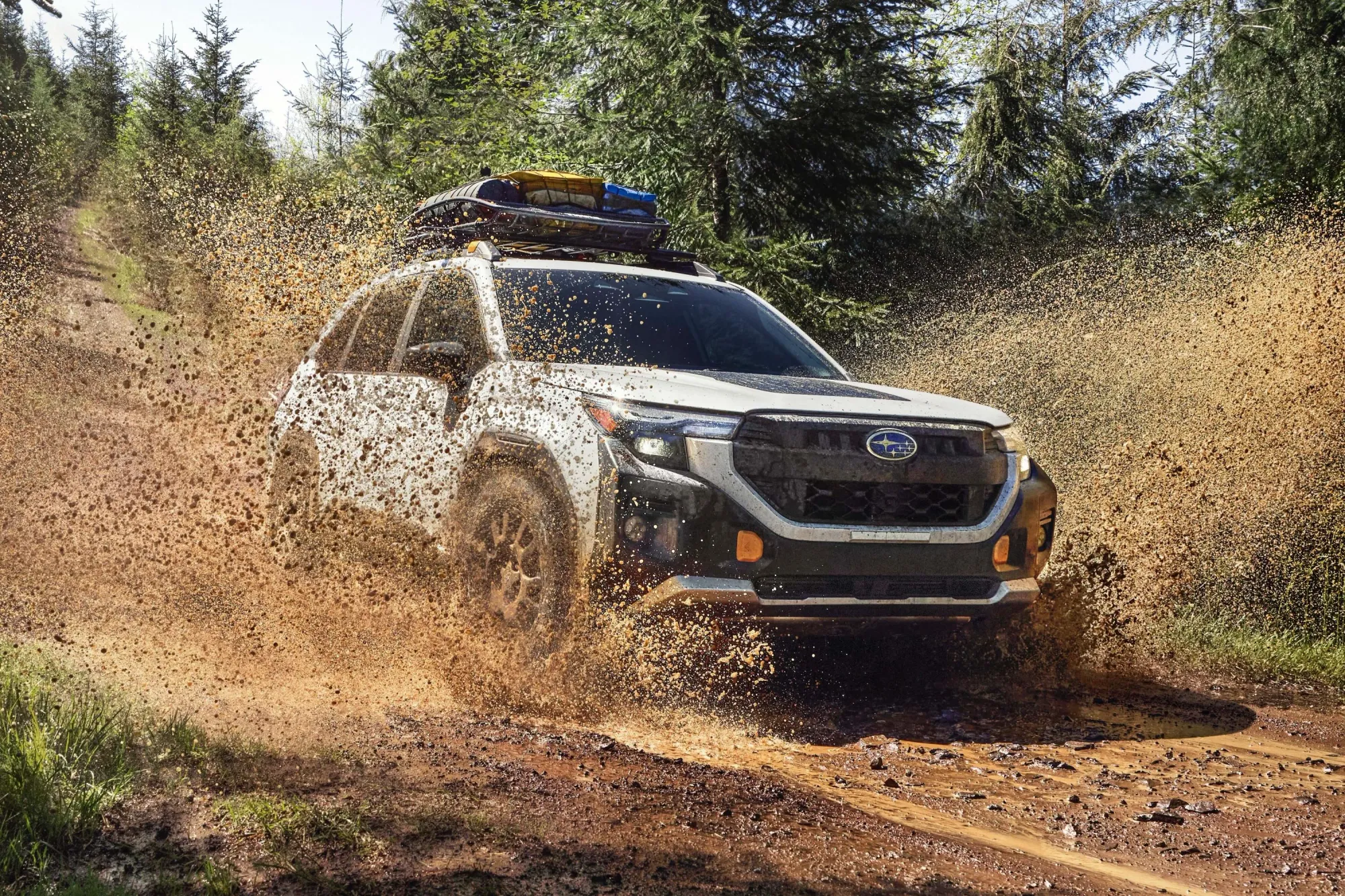 New Subaru Forester Wilderness